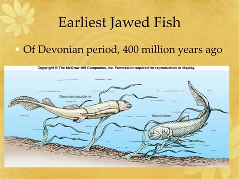 jawed fish|14.3: Fish Diversity .